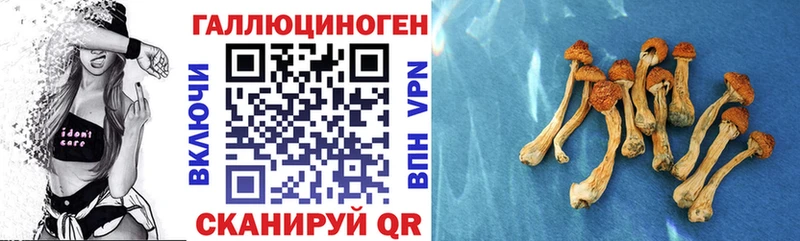купить наркотик  Губаха  Галлюциногенные грибы ЛСД 